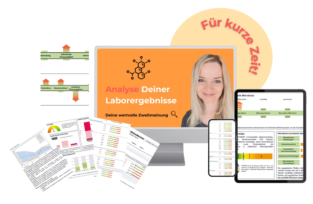 Onlinekurs Struktur Lead Magnet Mockup