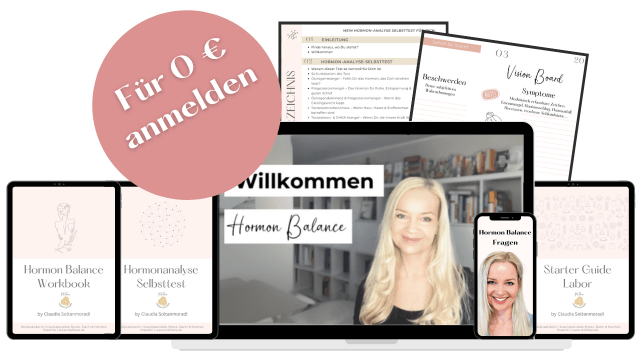 Ad Mockup VIP Paket Hormon Balance Workshop 640 x 360 px 3